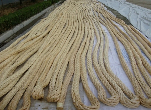 ߷ϩUHMWPEؽg܇K