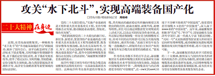 青島海麗雅集團